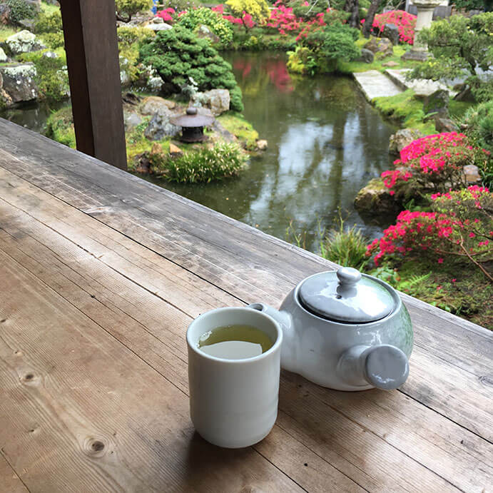 Having sencha at the Japanese Tea Garden in San Francisco (more of this)